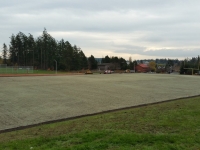 9.-Football-field-hydoseeded