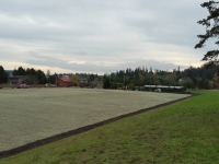 Football-Field-Done