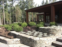 CIMG2714.jpg