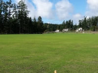 9.-Soccer-Field-Grass-Growing