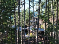 IMG_3821.jpg