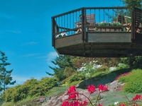 crest---Viewing-deck.jpg